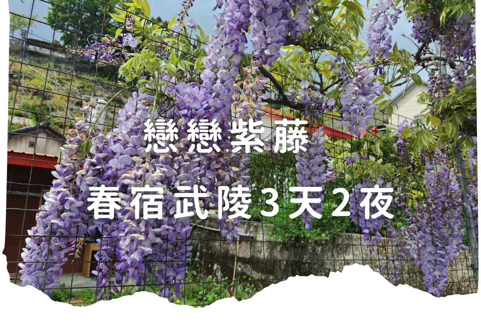 戀戀紫藤 春宿武陵3天2夜