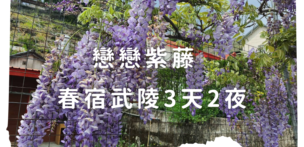 戀戀紫藤 春宿武陵3天2夜