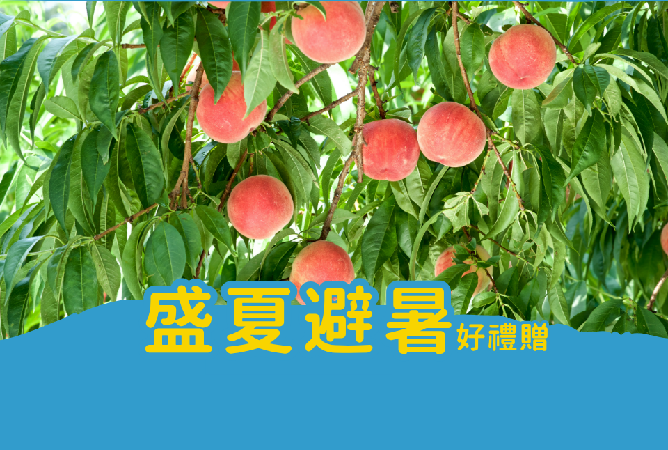 2026盛夏避暑好禮贈