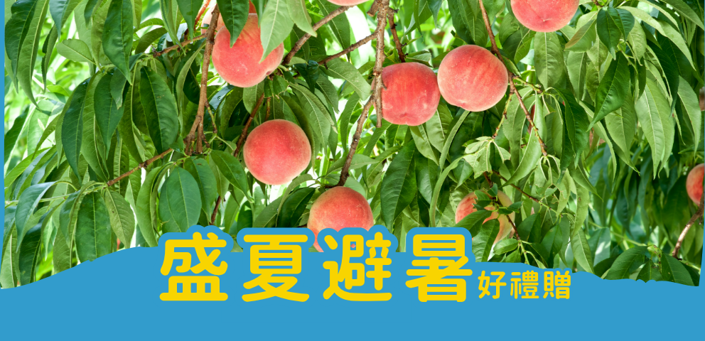 2026盛夏避暑好禮贈