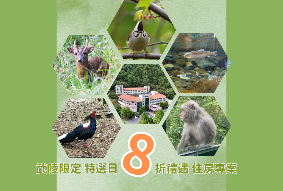 春花夏雨特選日8折禮遇住房專案