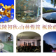 武陵初秋·山林慢旅 極致禮遇